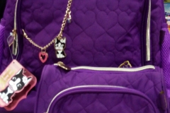 imagem4